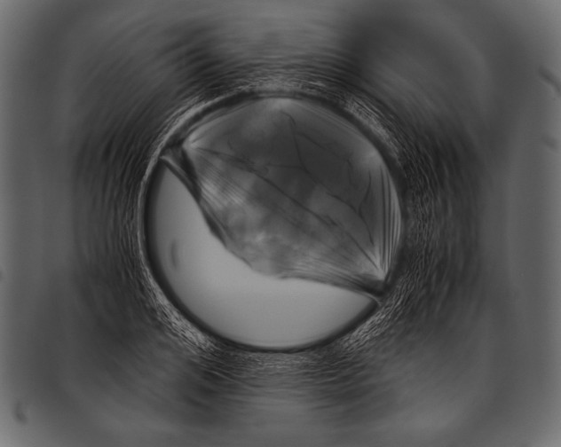 X0000097460984200803201422