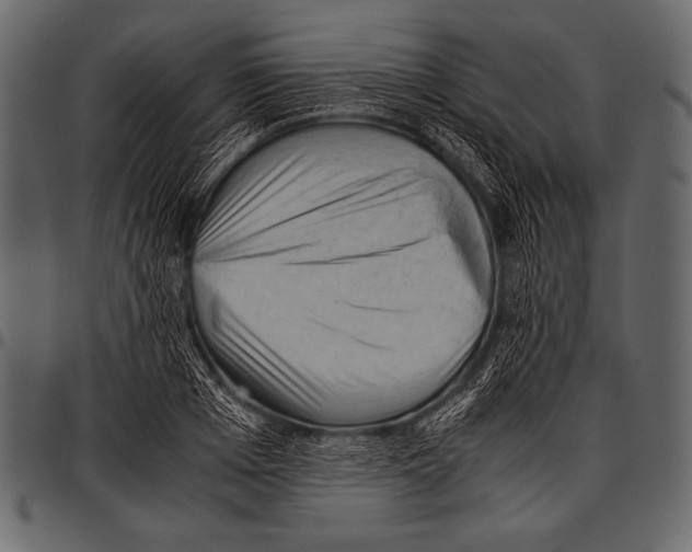 X0000097460985200803201422