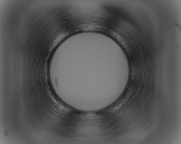 X0000097460986200803201422