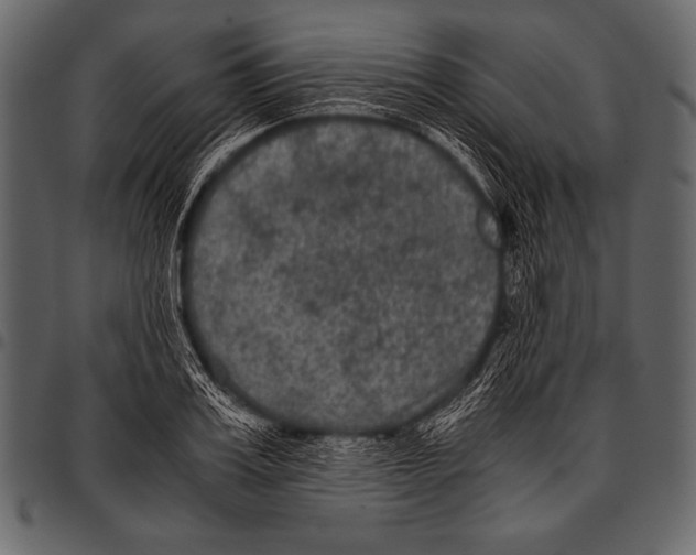 X0000097460987200803201422