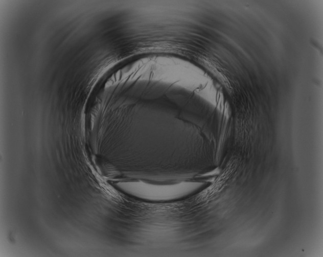 X0000097460988200803201422