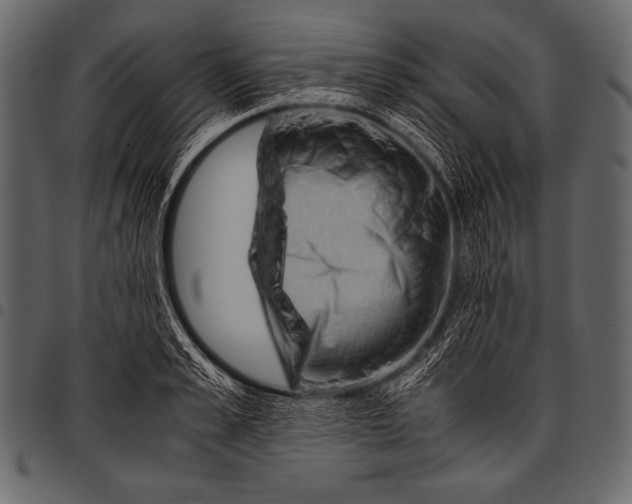 X0000097460989200803201422