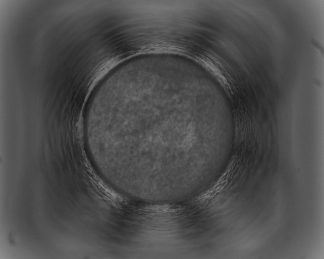 X0000097460990200803201422