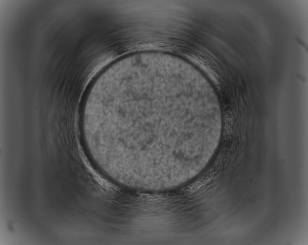 X0000097460991200803201422