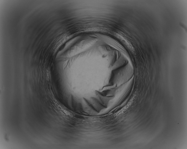 X0000097460993200803201422