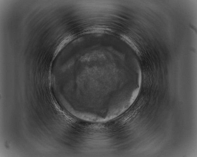 X0000097460994200803201422