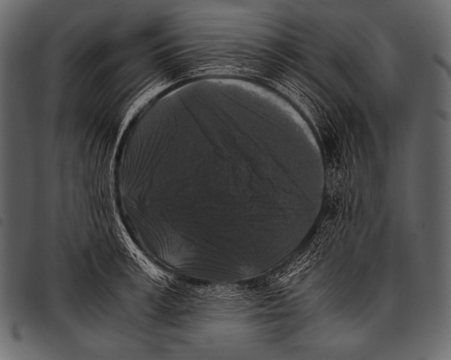 X0000097460995200803201422