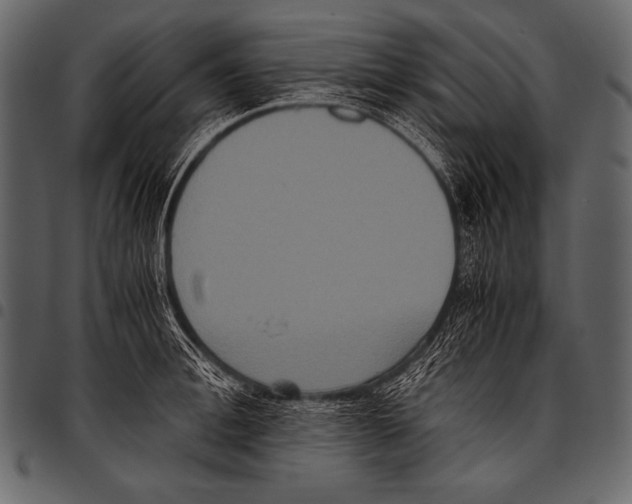 X0000097460996200803201422