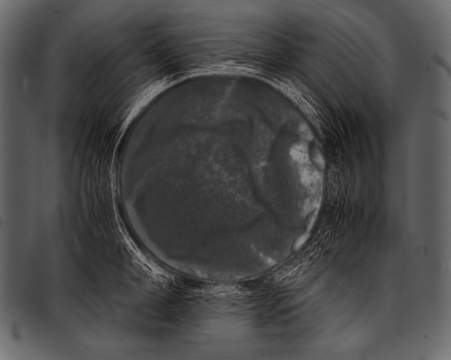 X0000097460998200803201422