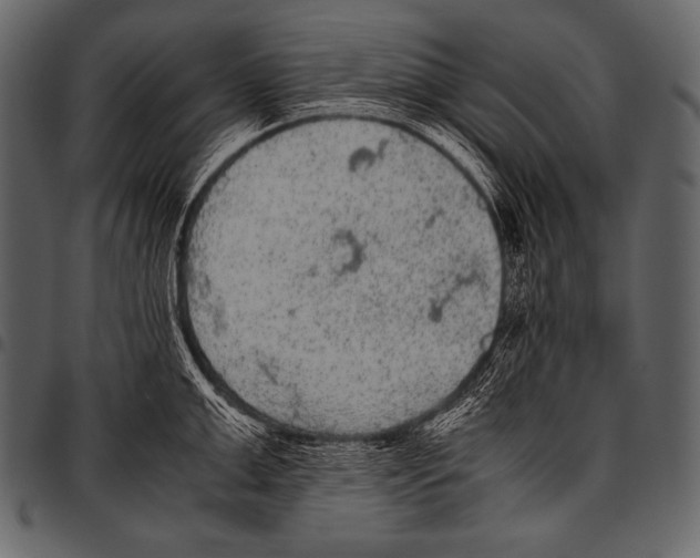 X0000097460999200803201422