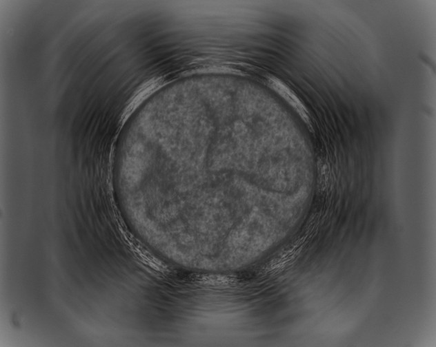 X0000097461002200803201422