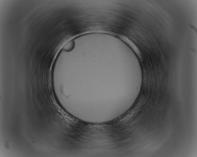 X0000097461004200803201422