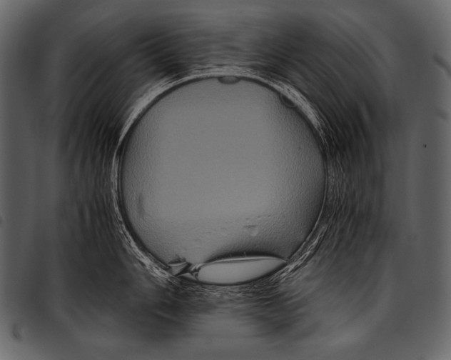 X0000097461006200803201422