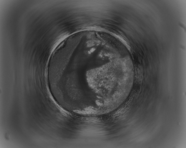 X0000097461007200803201422