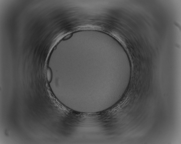 X0000097461008200803201422