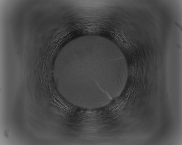 X0000097461009200803201421