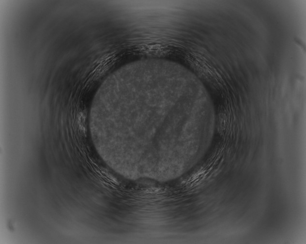 X0000097461010200803201421