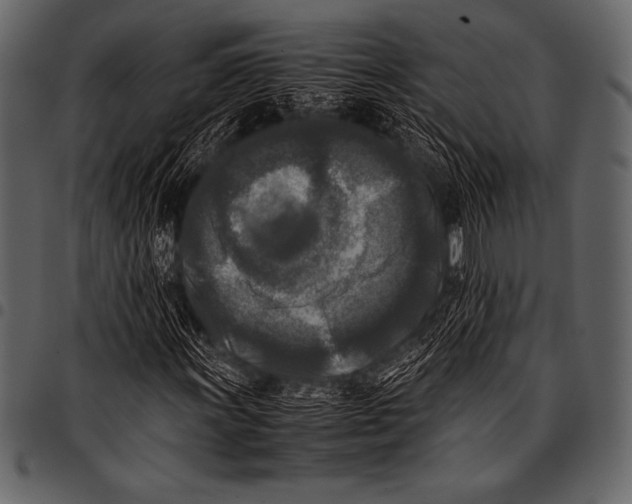 X0000097461011200803201421