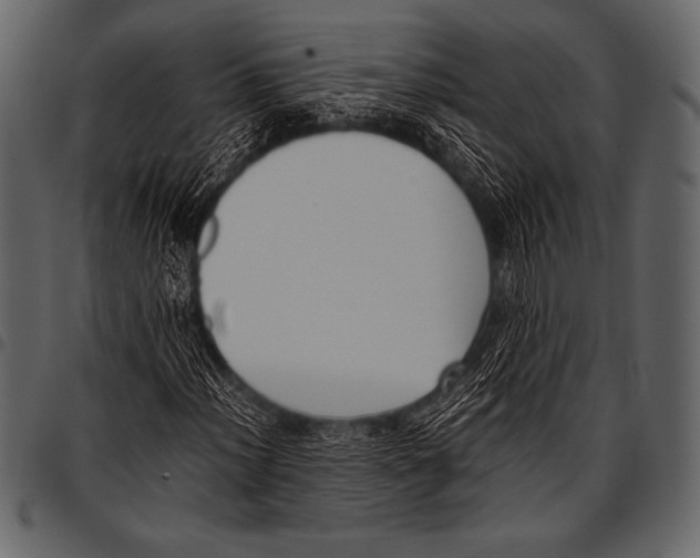 X0000097461012200803201421