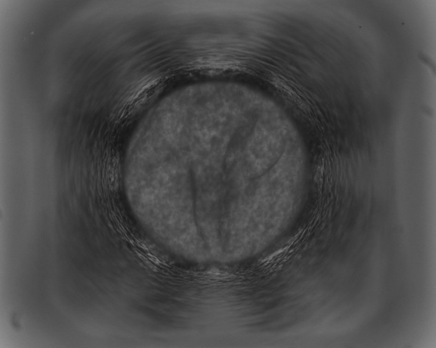 X0000097461014200803201421