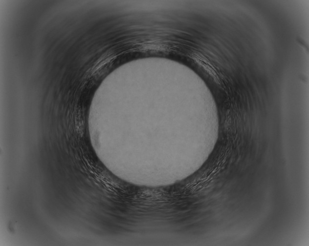 X0000097461015200803201421