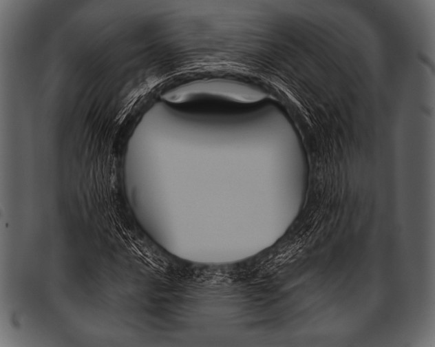 X0000097461016200803201421