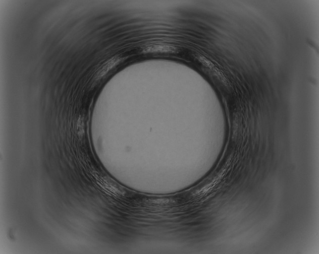 X0000097461017200803201421