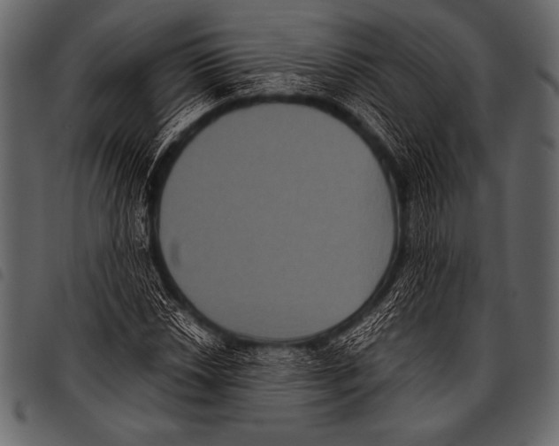 X0000097461018200803201421