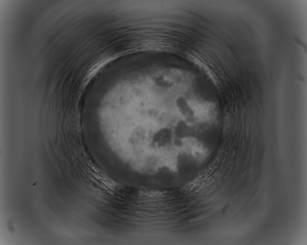 X0000097461019200803201421