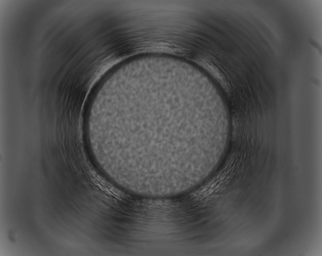 X0000097461020200803201421