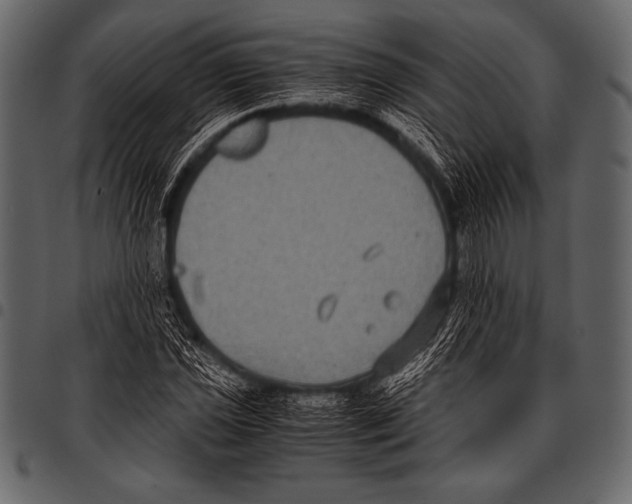 X0000097461021200803201421