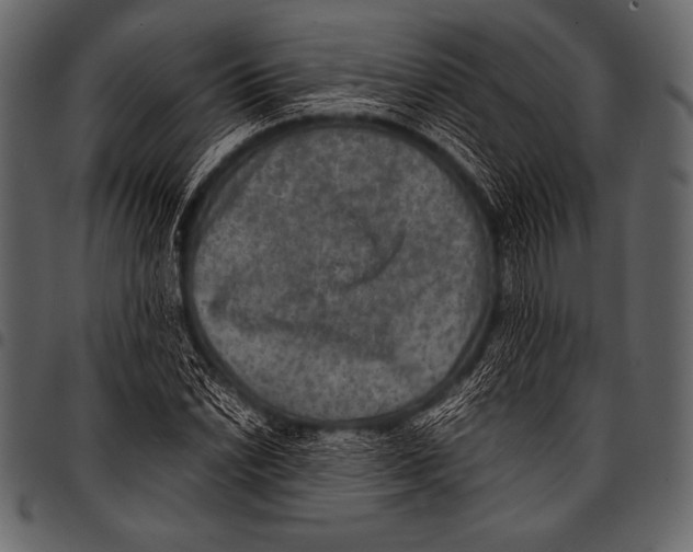 X0000097461022200803201421