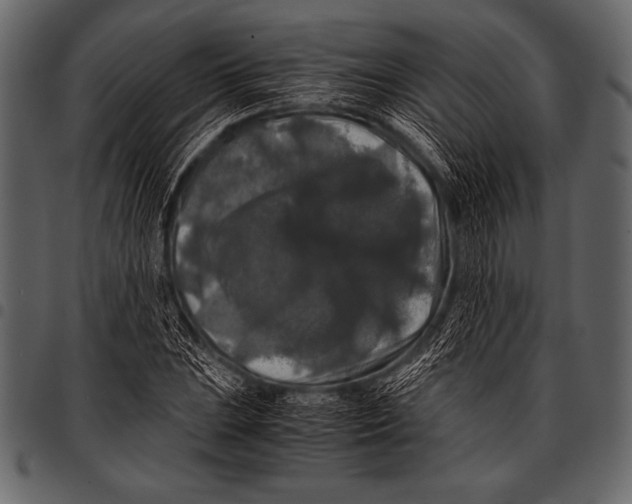 X0000097461023200803201421