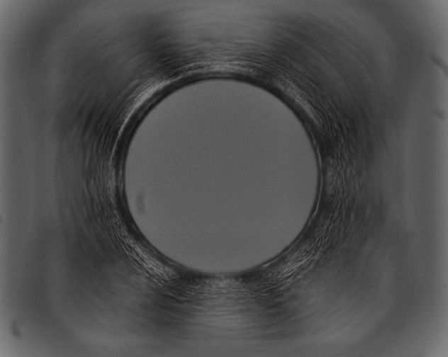 X0000097461024200803201421