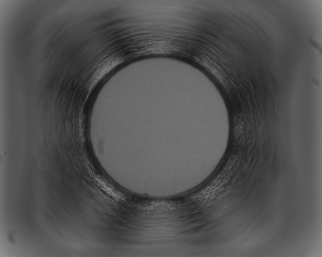 X0000097461026200803201421