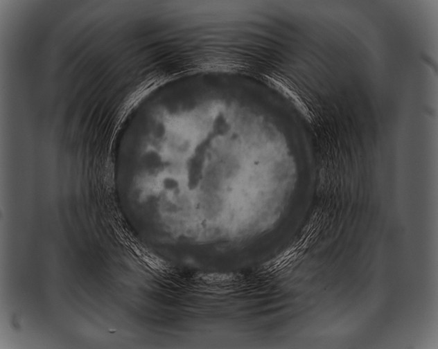 X0000097461027200803201421