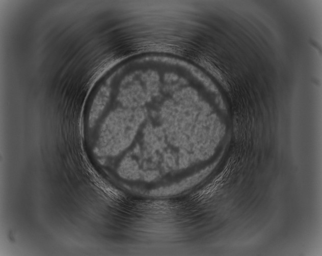 X0000097461028200803201421