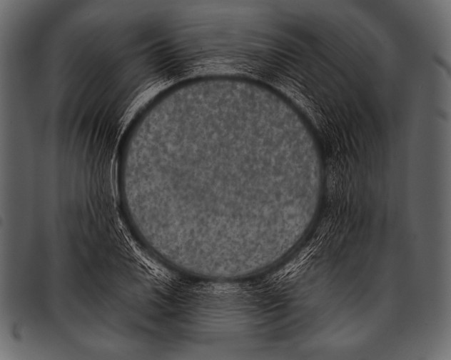 X0000097461030200803201421