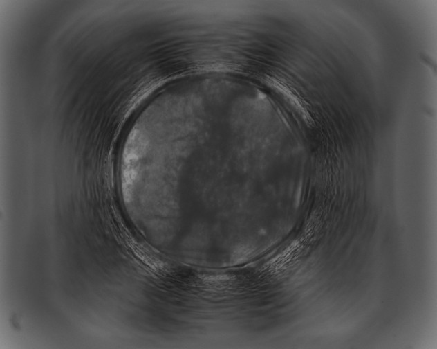 X0000097461031200803201421