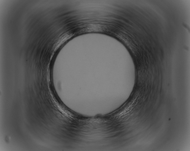 X0000097461034200803201421