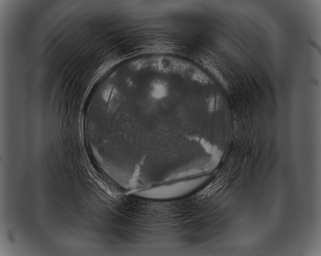 X0000097461035200803201422