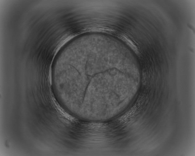 X0000097461036200803201422