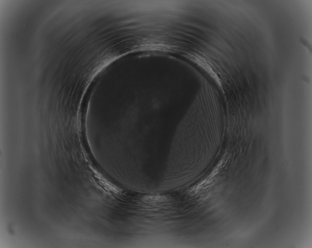 X0000097461037200803201422