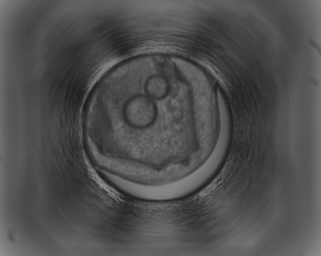 X0000097461038200803201422