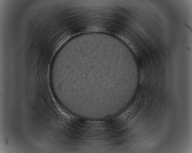 X0000097461039200803201422