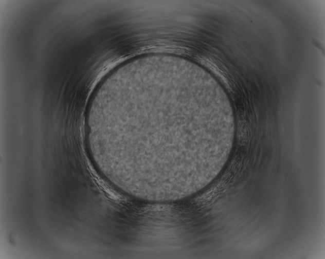 X0000097461040200803201422