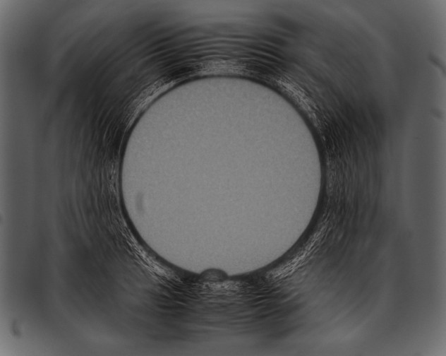 X0000097461041200803201422