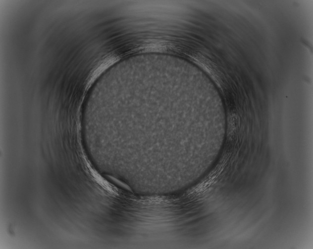 X0000097461042200803201422