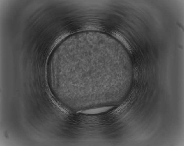 X0000097461043200803201422