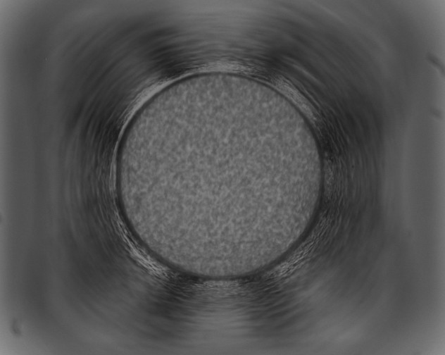 X0000097461044200803201422